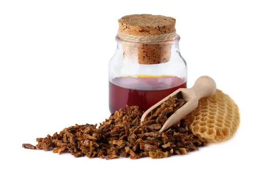 propolis